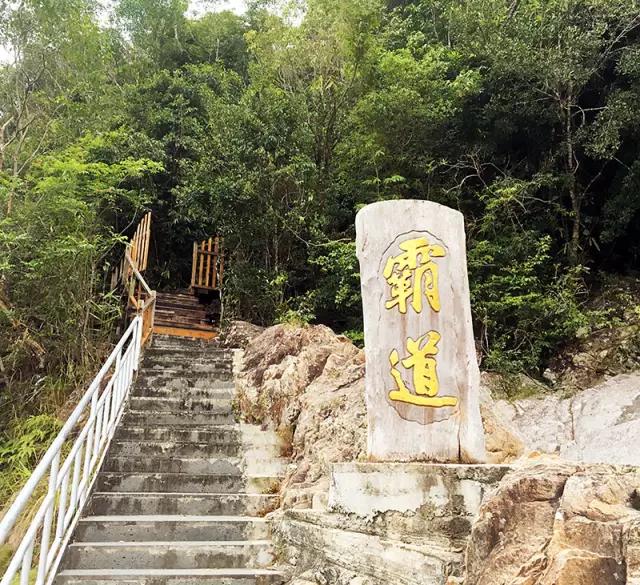 昌江原生态热带雨林森林秘境,海南万宁一个被大自然宠爱的地方