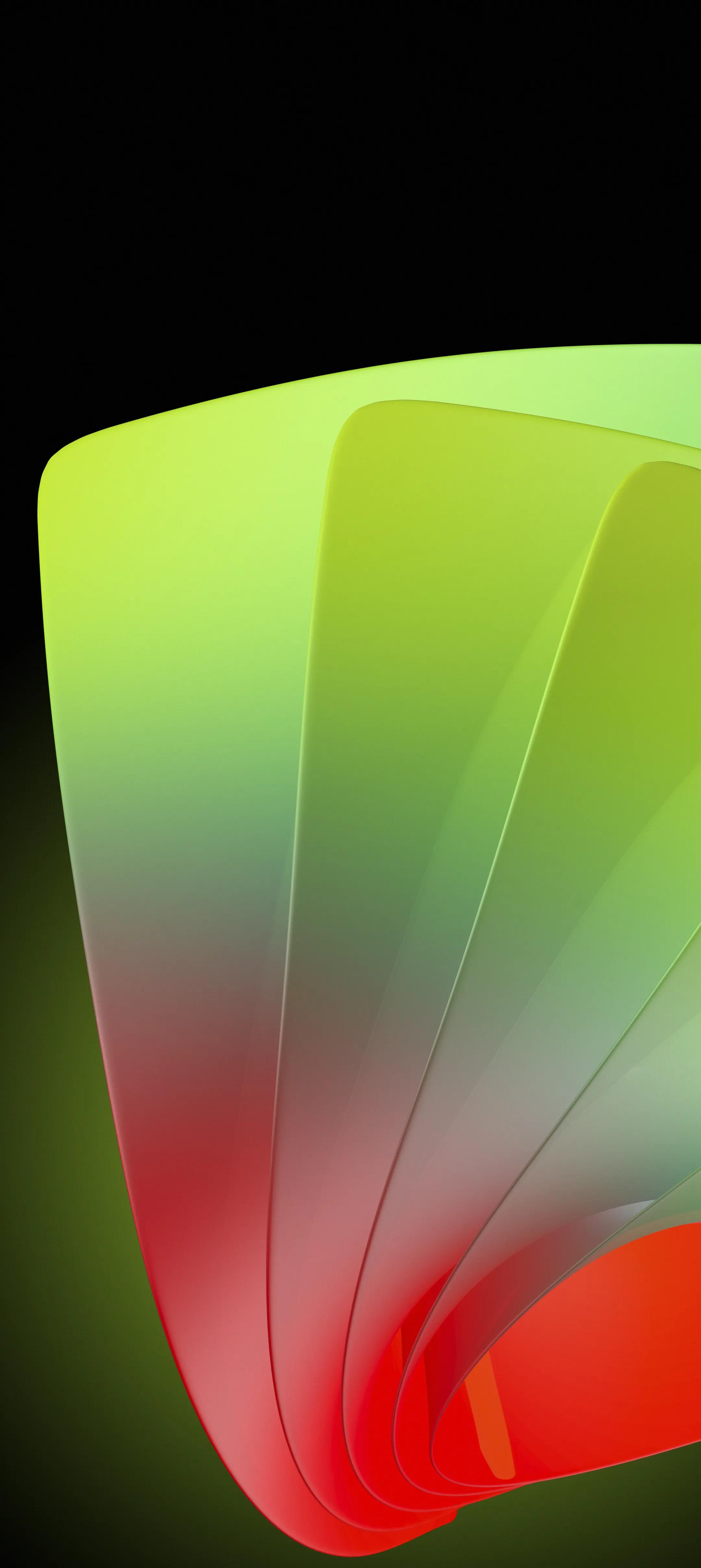 花18元买的壁纸,精美壁纸500欧元