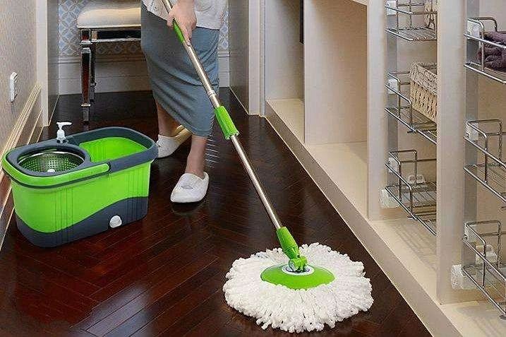 养猫家庭如何消毒杀菌对猫无害,要如何预防猫咪误食家中植物中毒