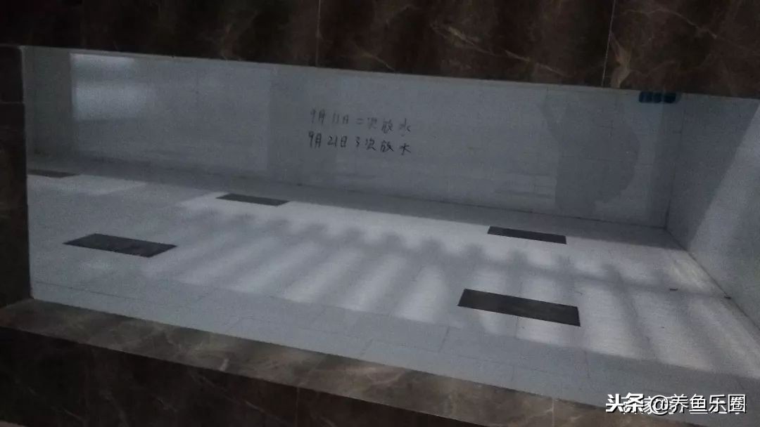 这位土豪家的渔场，光滤材就花了500多万，你确定不要见识一下？