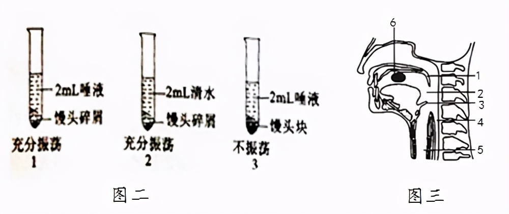 临沂罗庄七下生物期中试卷,临沂七下生物期中试卷