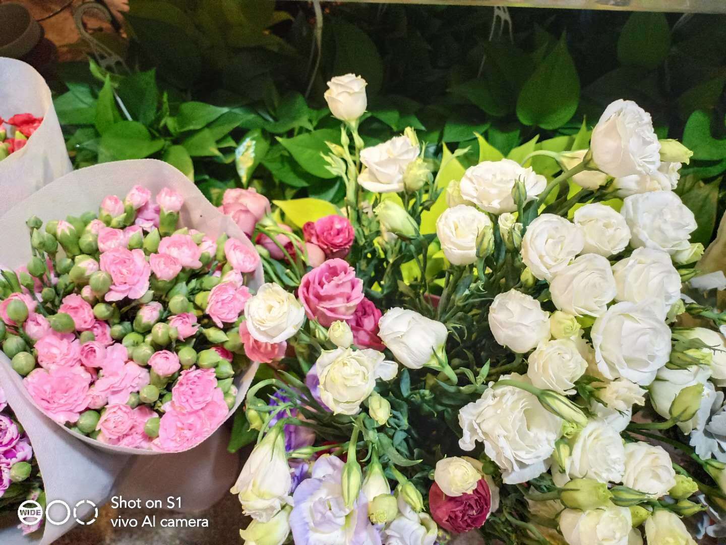 用过vivos12感觉如何,vivos1有哪些亮点