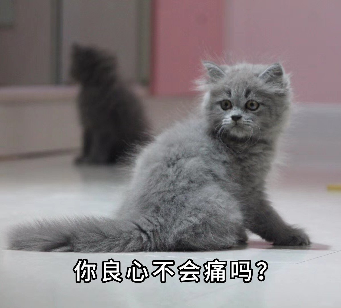 股市的三大博弈关系,股市三大危机