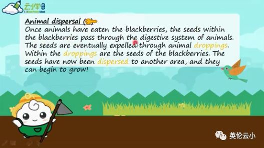 植物是怎么传播种子的二年级上册,植物传播种子方法有哪些举例说明