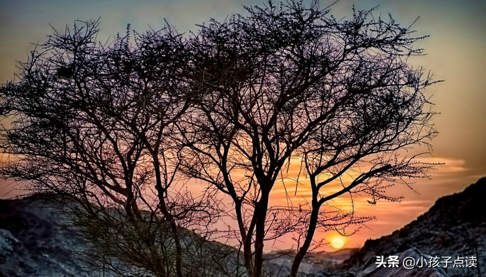 蜚语词语,蜚语的词语解释