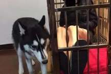 石头创业,石头创业项目