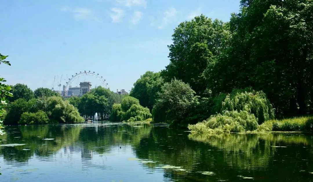 温州中央绿轴的崛起,温州中央绿轴和滨江cbd