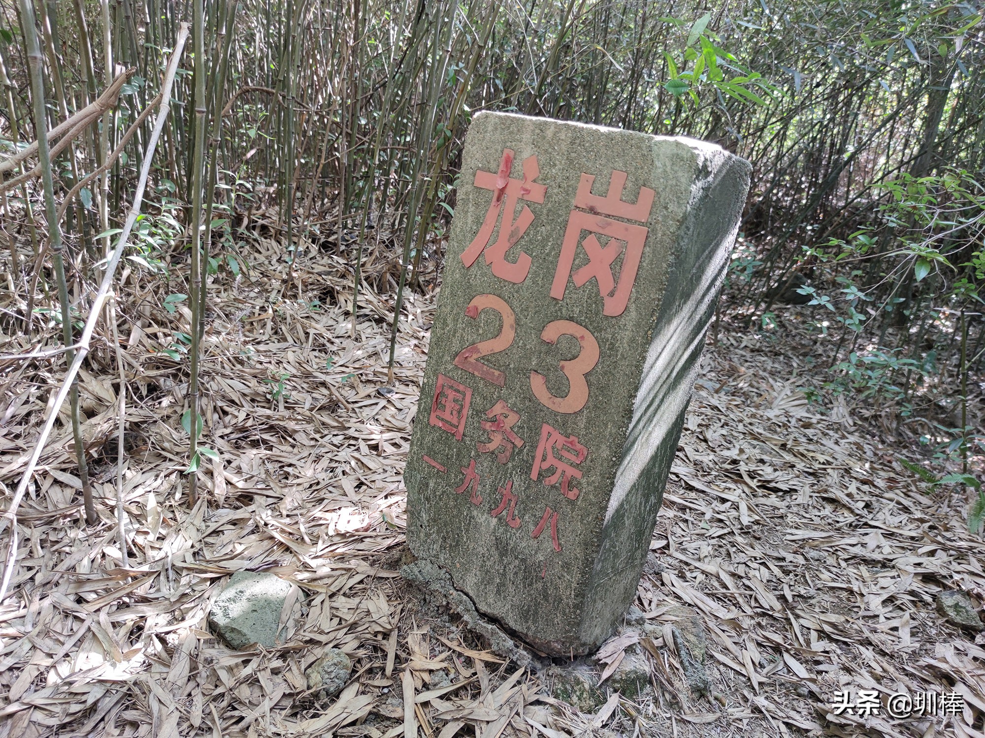 爬深圳山,爬深圳莲花山公园