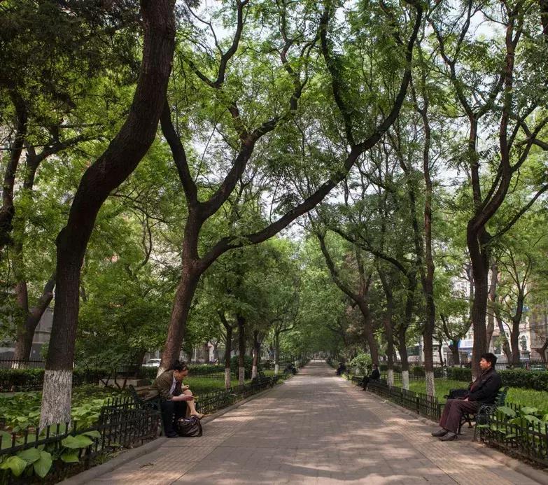 英国无头女尸案最终判决,英国一少女惨遭哥哥杀害