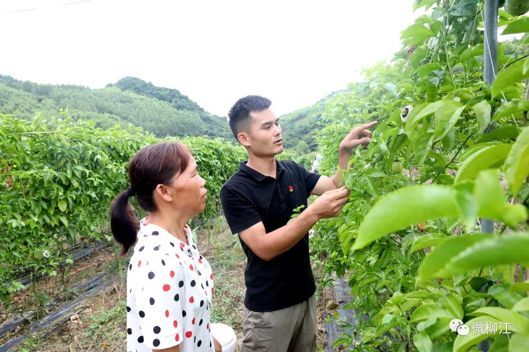 直播卖水果一年收入几百万,直播卖水果一年200万