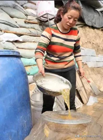 蔬菜种植自制营养土配方,菜地里加什么能让菜长得快