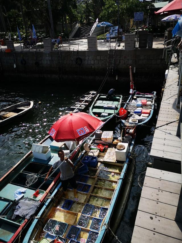 香港最后一片净土避世天堂,香港西贡一日游攻略图