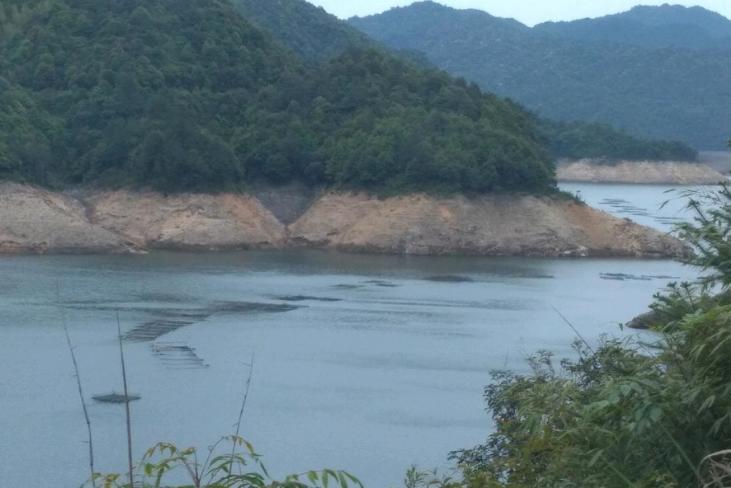 水库网箱养殖经济效益怎么样,综合养鱼怎么经济效益最好