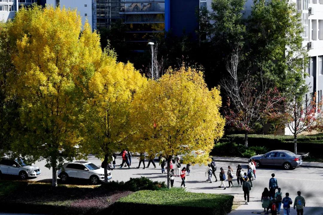 天津普通本科的大学,天津普通高校多少所大学