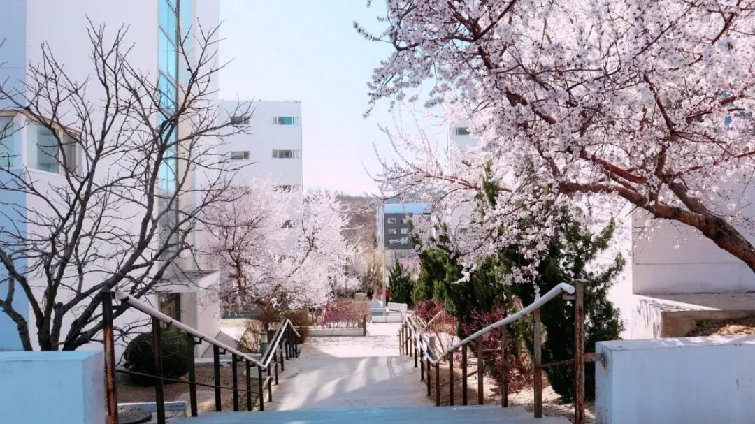 辽宁省高校（三十一）大连医科大学