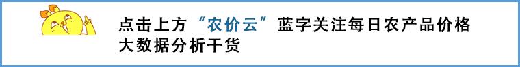 2022年年底大葱批发价格行情,滕州今日大葱批发均价