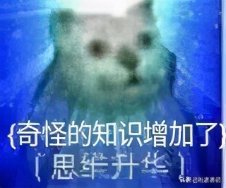 打码师怎么样了,打码师照片