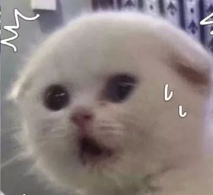 不到半天就火速售罄,才0.1秒就售罄