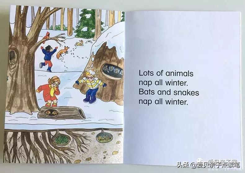 跟孩子聊科学,怎么给孩子读神奇校车