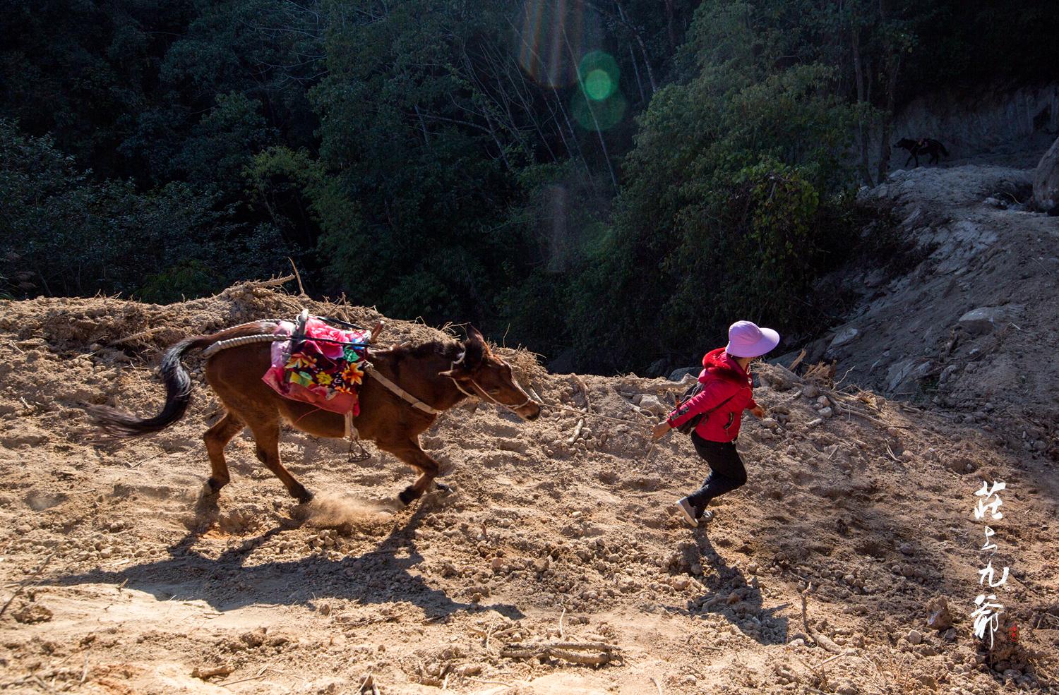 高黎贡山秘境森林,高黎贡山樱花谷温泉