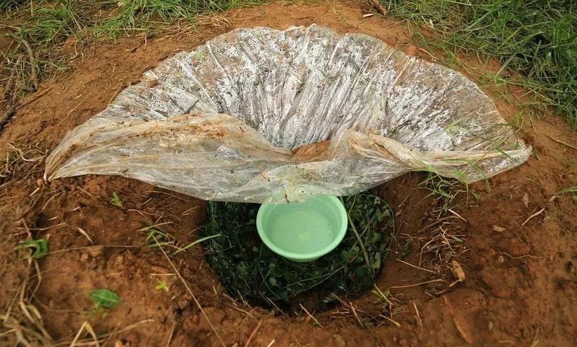 生存小技巧钻木取火,荒野生存取水技巧