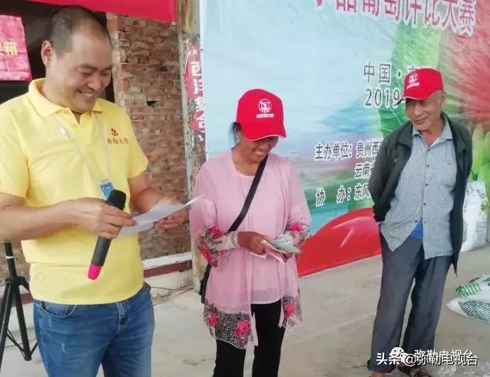 弥勒葡萄价格,弥勒葡萄卖5元一颗