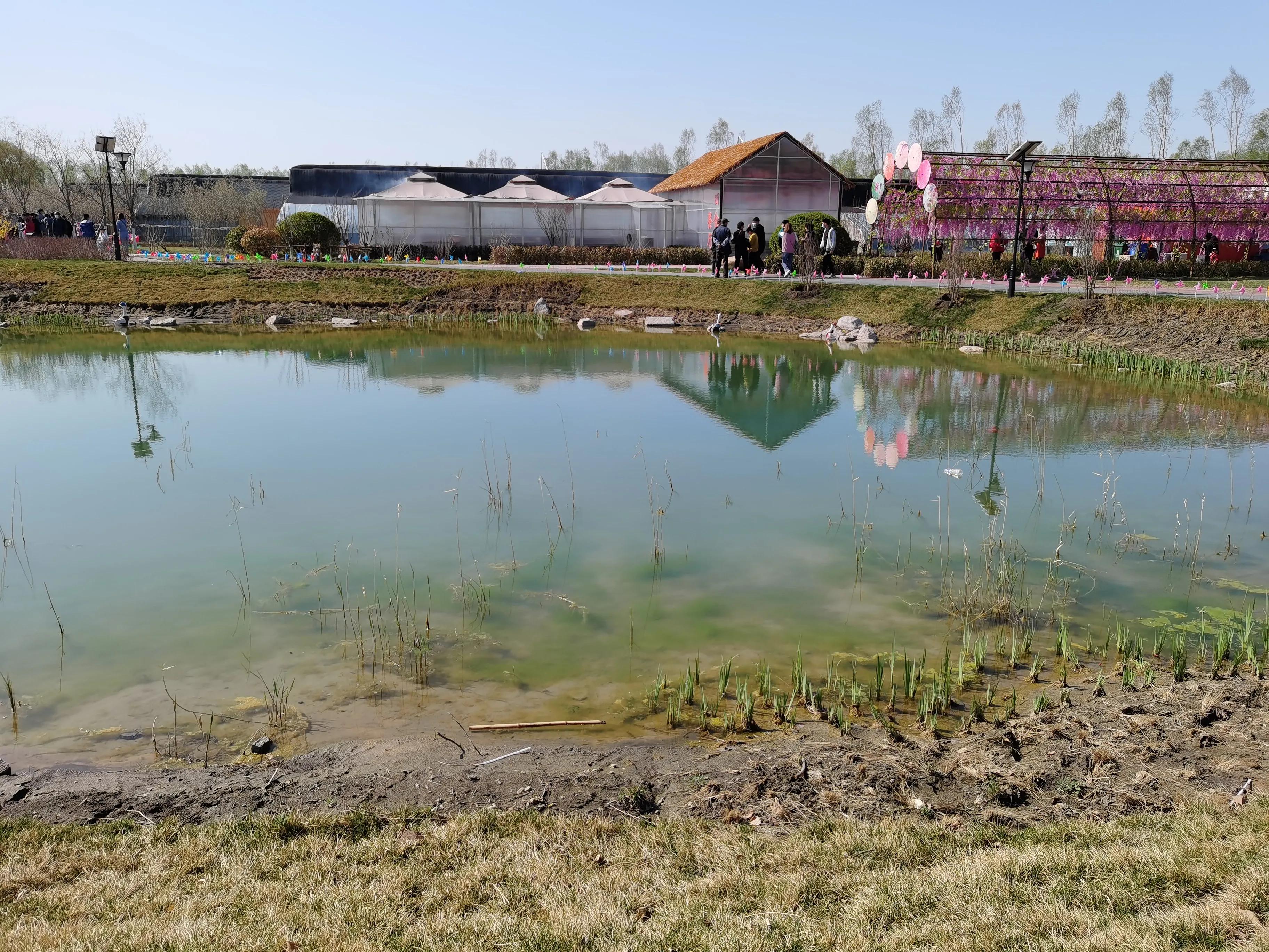 丰南半亩方塘景区,唐山丰南半亩方塘怎么样