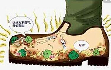 芯迈软木鞋垫效果图,芯迈跑步鞋垫