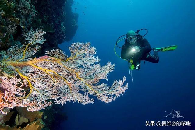 现在可以去哪些海岛旅游,现在去哪个海岛比较便宜