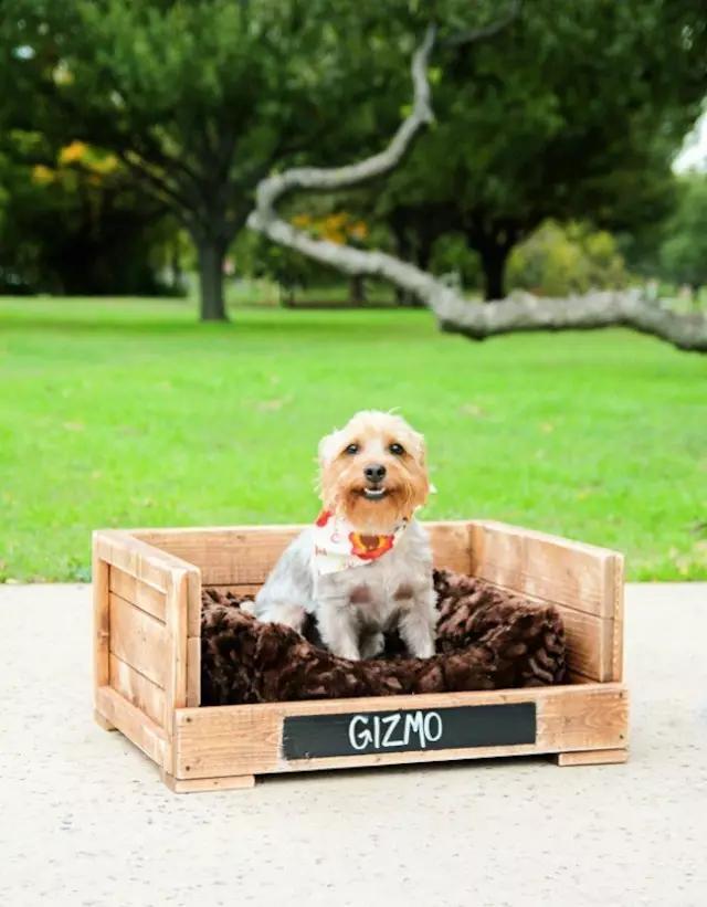 自制宠物狗窝简单,旧衣服怎么给狗狗做个窝