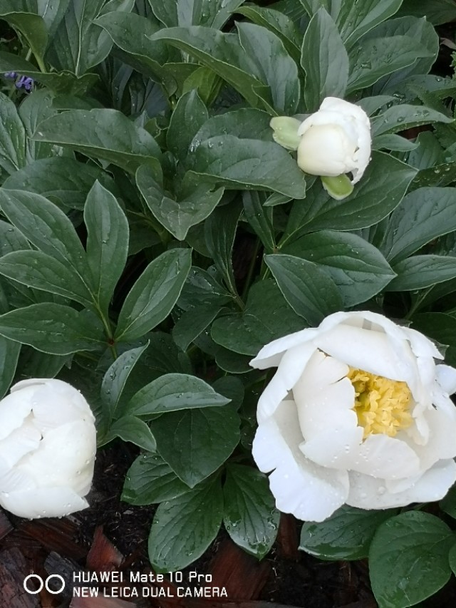 妹妹受了委屈怎么一下就哭了,双胞胎妹妹委屈的哭了