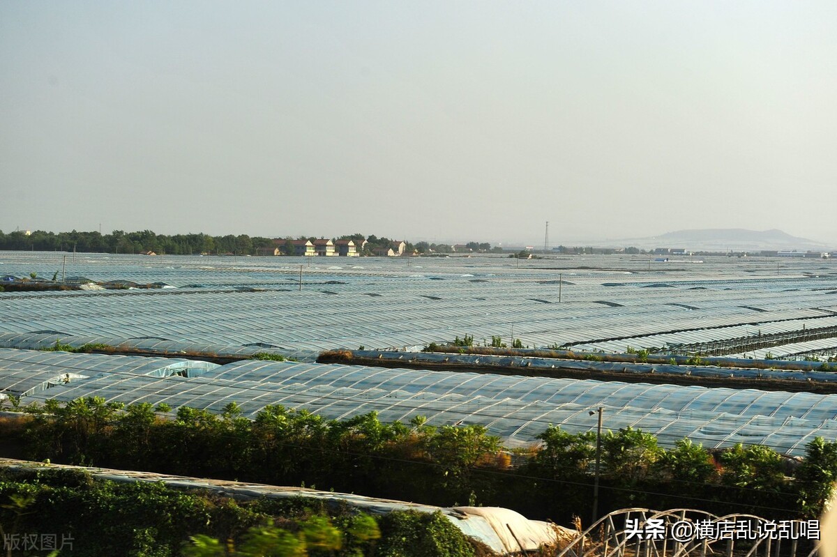 山东潍坊诸城楼市涨跌,山东潍坊房地产市场