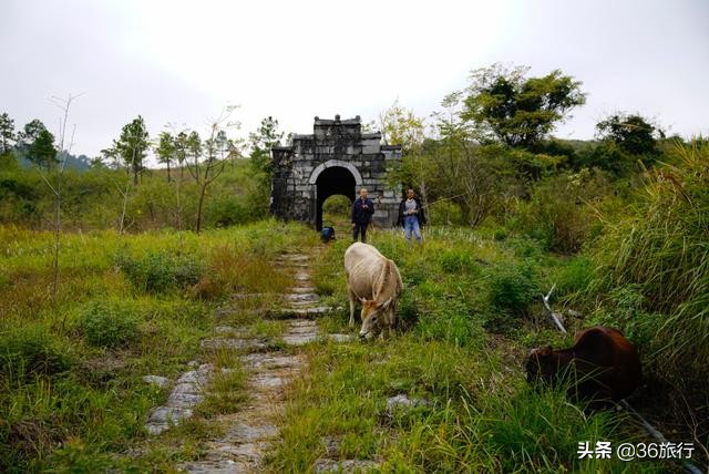 清远连州一日游最佳路线,清远连州附近旅游攻略景点必去