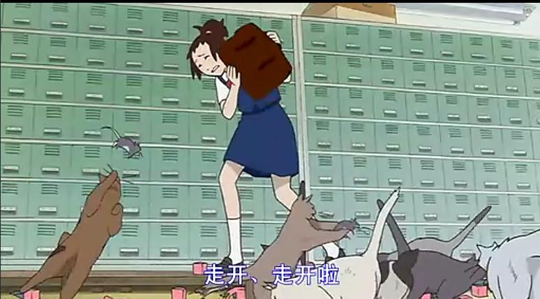 猫的报恩,猫的报恩怎么样