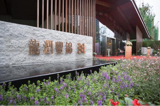 榫欐鼎涓伴敠,榫欐鼎涓伴敠椤圭洰