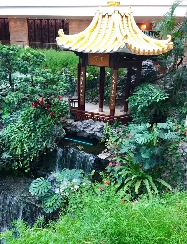 广州早茶店推荐老字号,广州比较正宗的早茶老字号