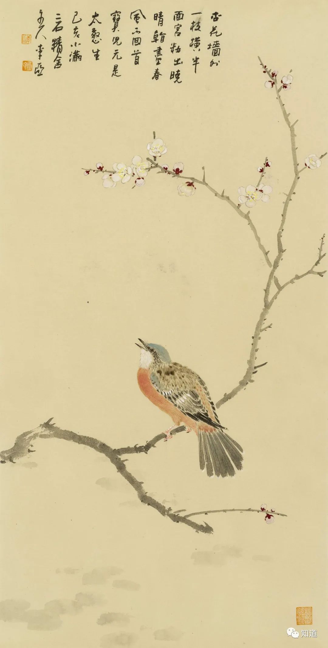 春天的脚步近了好像一切都醒来了,春天的脚步已经悄然而至