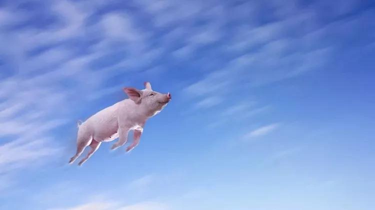 消失的借贷平台,现在没有众筹了吗