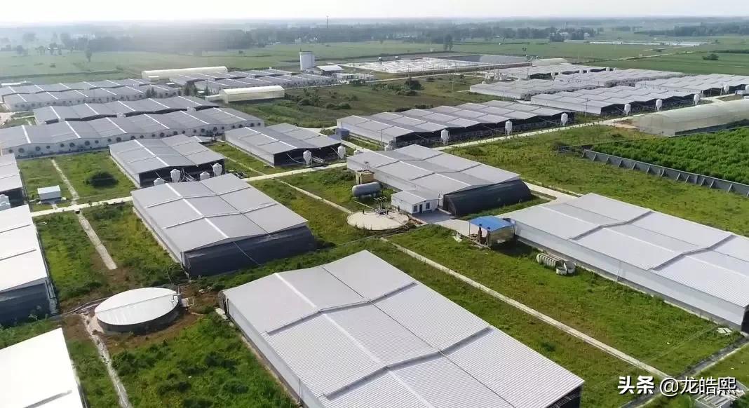 牧原招聘退役军人有补助吗,牧原集团退役军人招聘