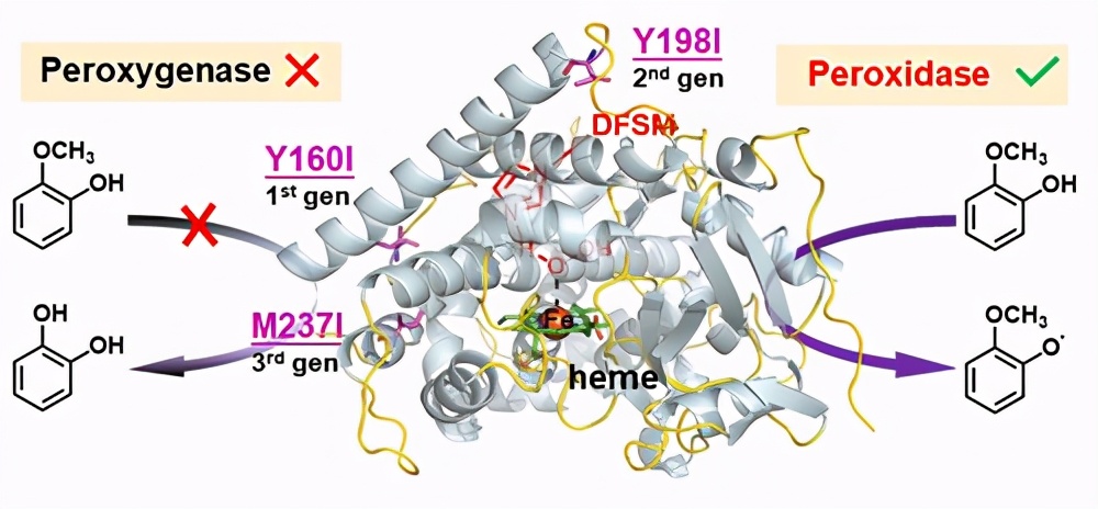 中科院青岛能源所丰元股份,中国科学院青岛能源与过程研究所