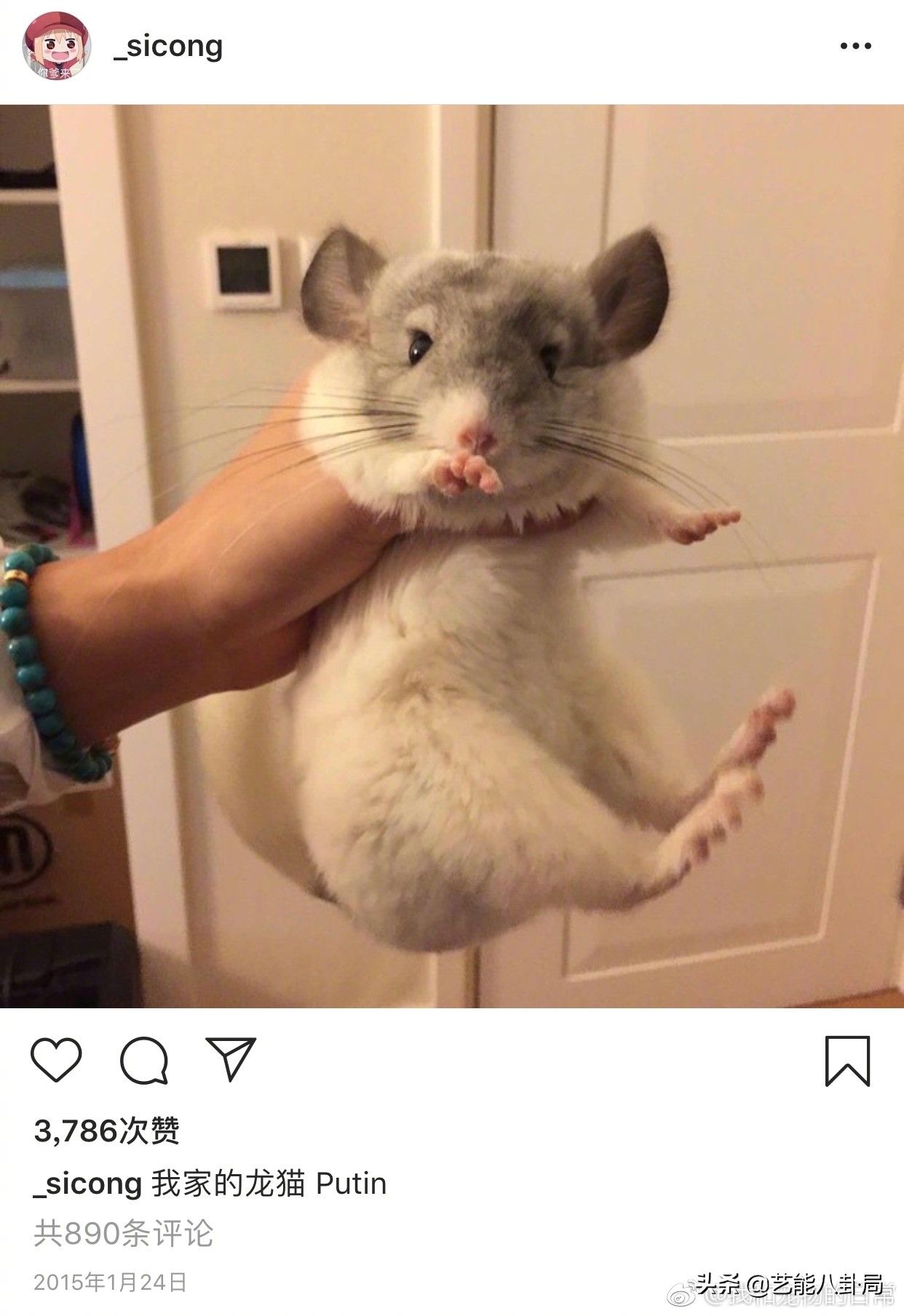 王思聪斥重金买鸭,王思聪自曝斥重金买鸭