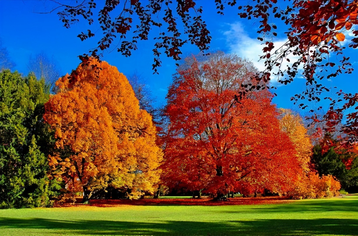 交易中的假象,本次交易存在欺诈行为如何解决