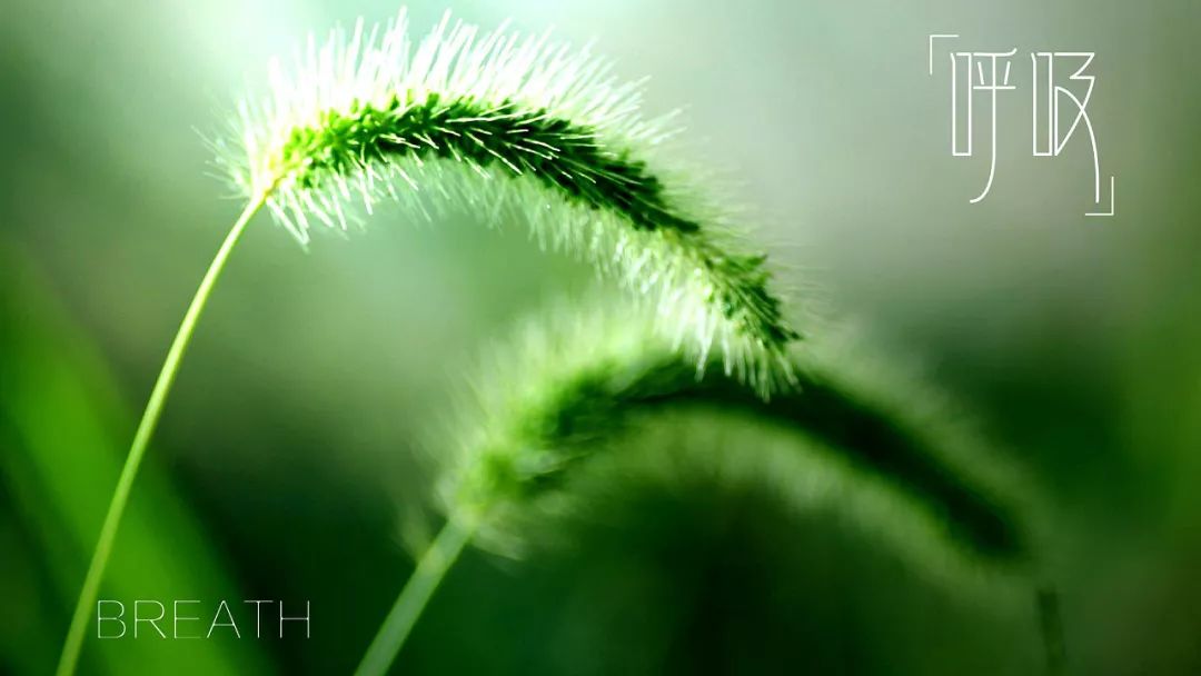 合和泰,合和泰的优缺点