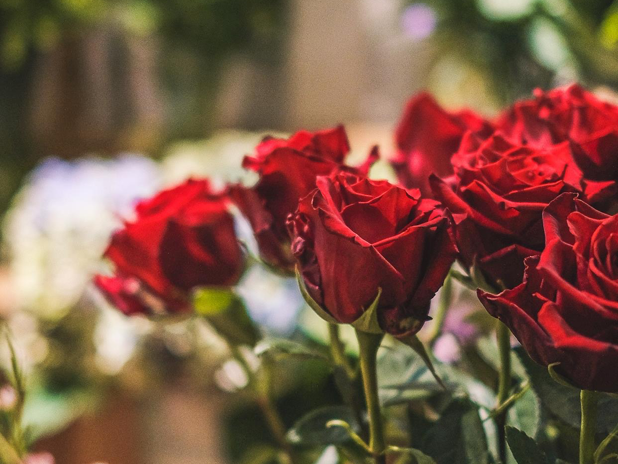 真正完美的爱情是怎样的,真正好的情人关系是怎么样相处