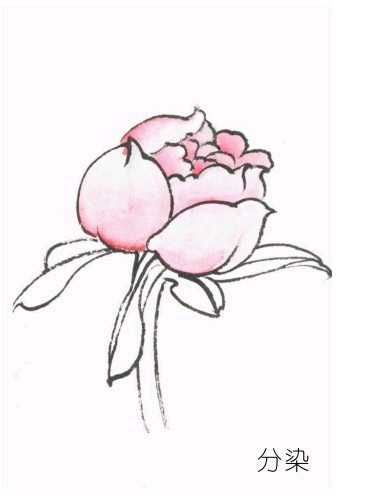 工笔渲染手法技巧,工笔画着色技法视频