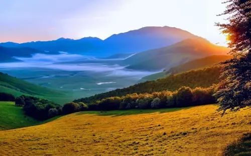 毒app出了什么事,毒app被曝光