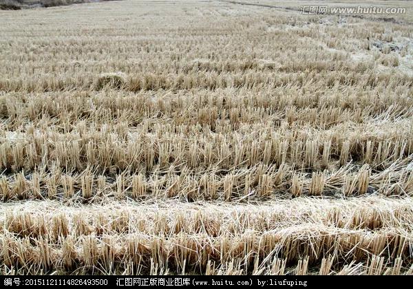家乡的秋天800字左右带有赏析,家乡的秋天100个字