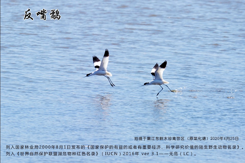 榻愰綈鍝堝皵瀚╂睙涓滄按鐝嶇鍏洯,榻愰綈鍝堝皵瀚╂睙涓滄按鐝嶇婀垮湴鍏洯