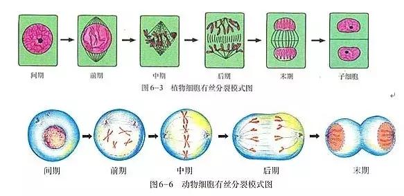 怎样预防乳腺增生的方法,预防乳腺增生的运动视频