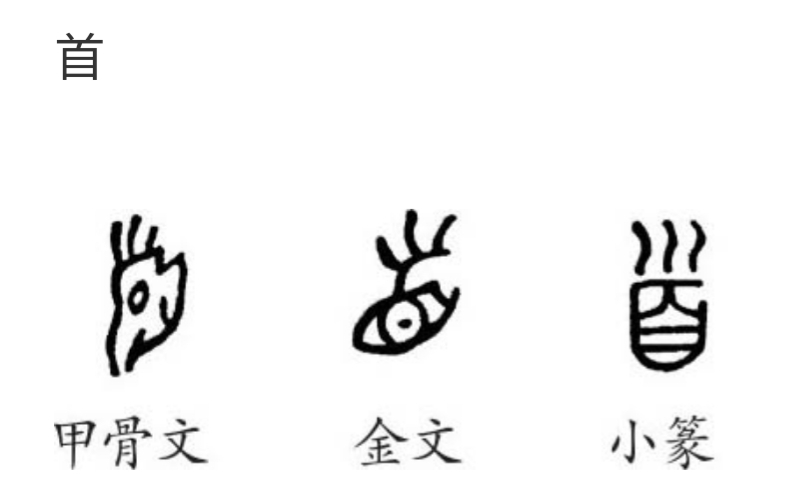 道德经中的阴阳辩证思想,道德经全书第二十九章解析